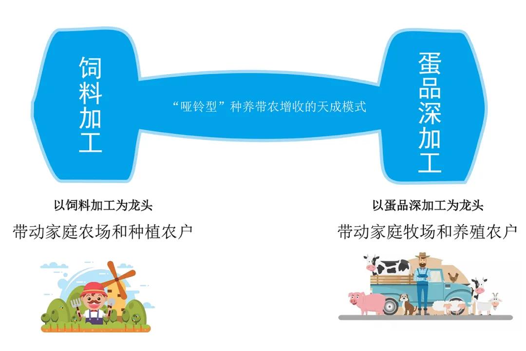 cq9电子平台网站：“哑铃型”联农带农 坚守蛋业融合初心